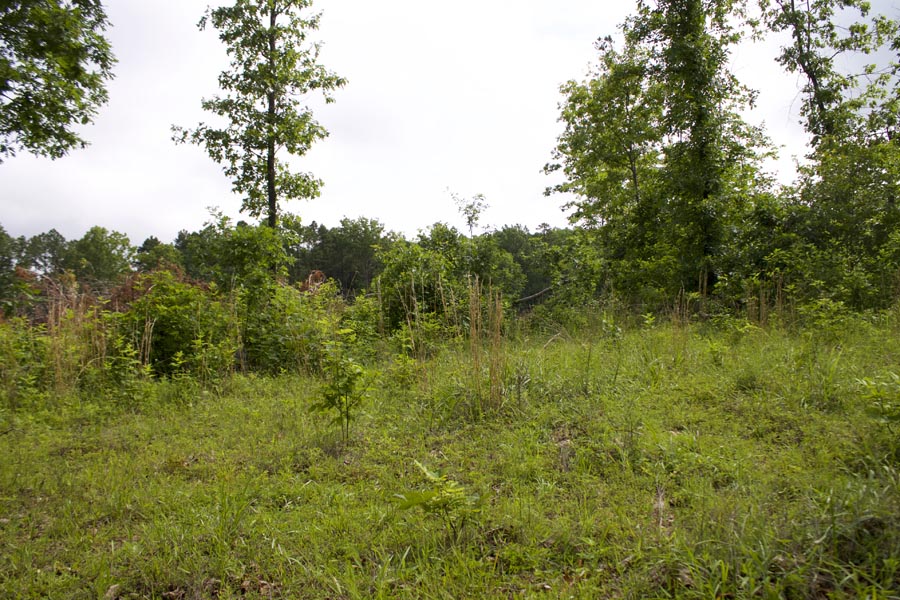 Tract 16 at Thunder Mountain Ranch in Shannon County, Missouri