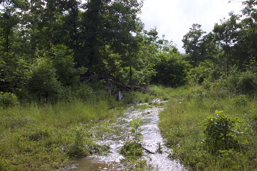 Tract 18 at Thunder Mountain Ranch in Shannon County, Missouri
