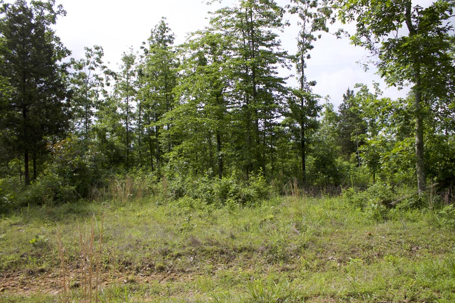 Tract 20 at Thunder Mountain Ranch in Shannon County, Missouri