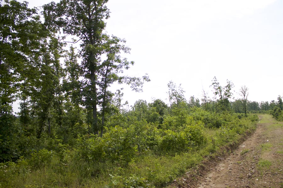 Tract 29 at Thunder Mountain Ranch in Shannon County, Missouri