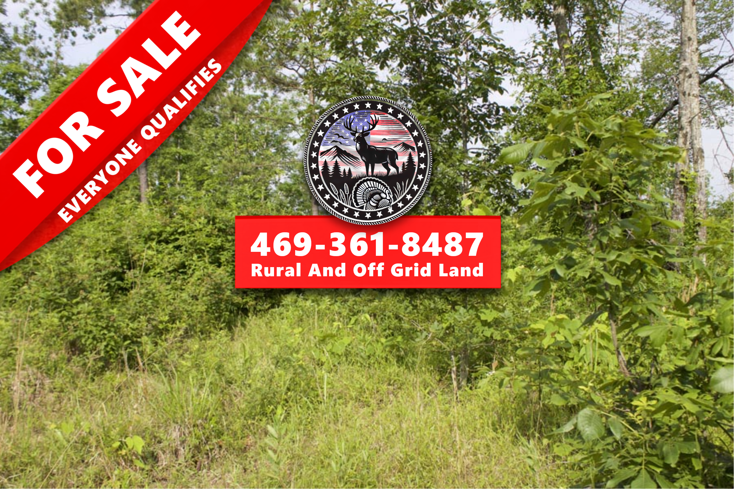 TMR-T31 tract image