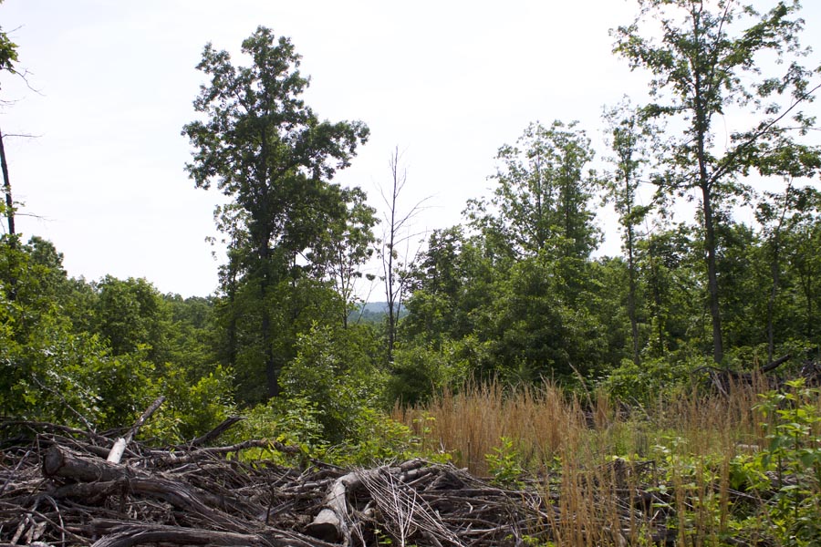 Tract 32 at Thunder Mountain Ranch in Shannon County, Missouri