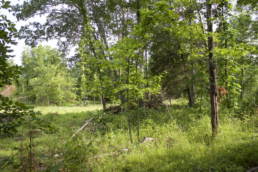 Tract 33 at Thunder Mountain Ranch in Shannon County, Missouri