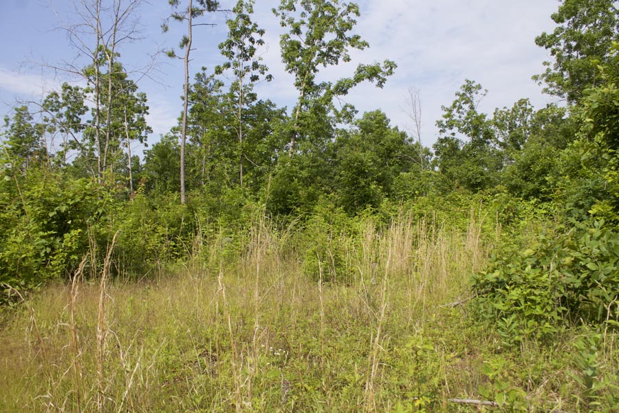 Tract 36 at Thunder Mountain Ranch in Shannon County, Missouri