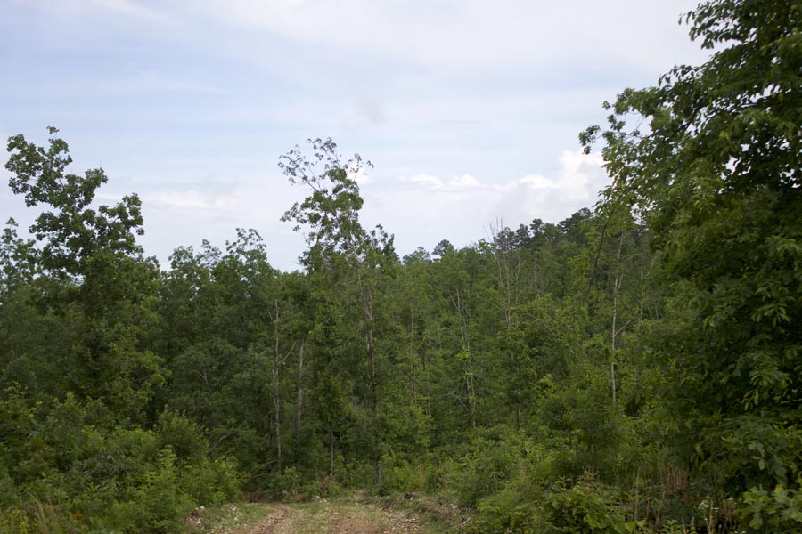 Tract 40 at Thunder Mountain Ranch in Shannon County, Missouri