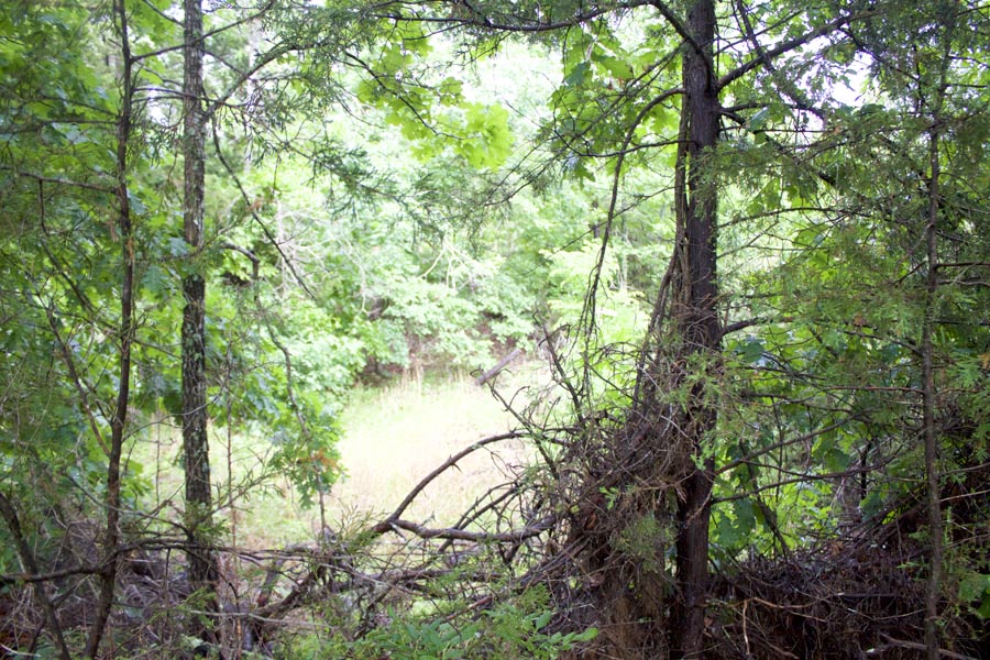 Tract 46 at Thunder Mountain Ranch in Shannon County, Missouri