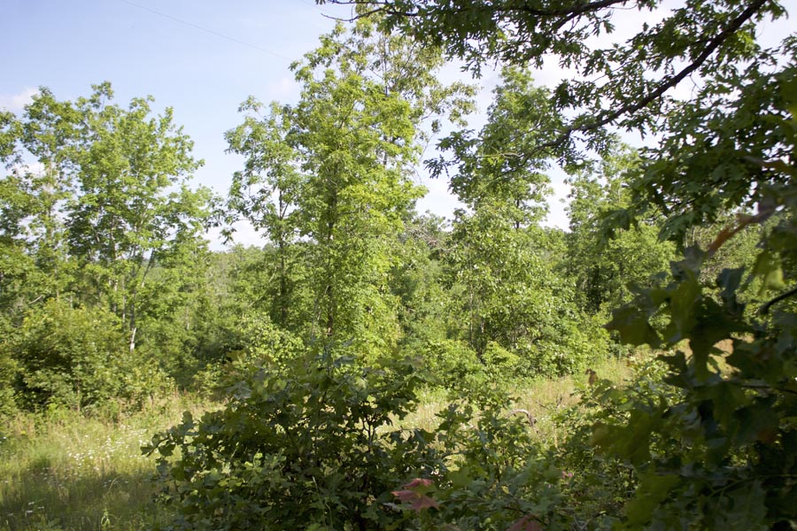 Tract 5 at Thunder Mountain Ranch in Shannon County, Missouri